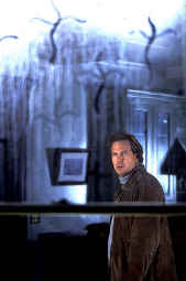 Dragonfly. All rights Reserved.